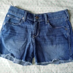 Ariat denim boyfriend shorts